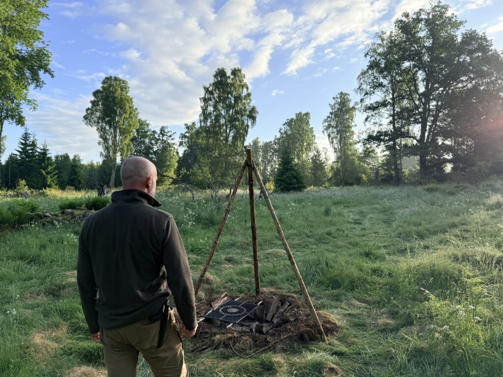 Skogsglänta i Småland